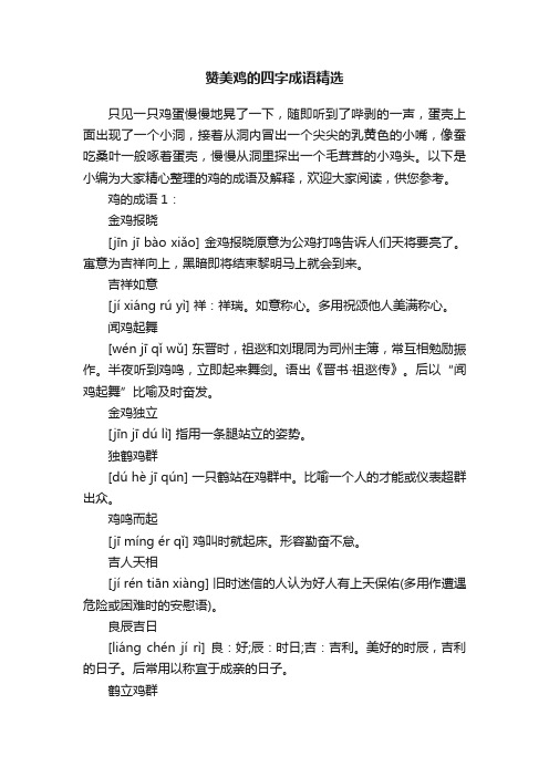 赞美鸡的四字成语精选