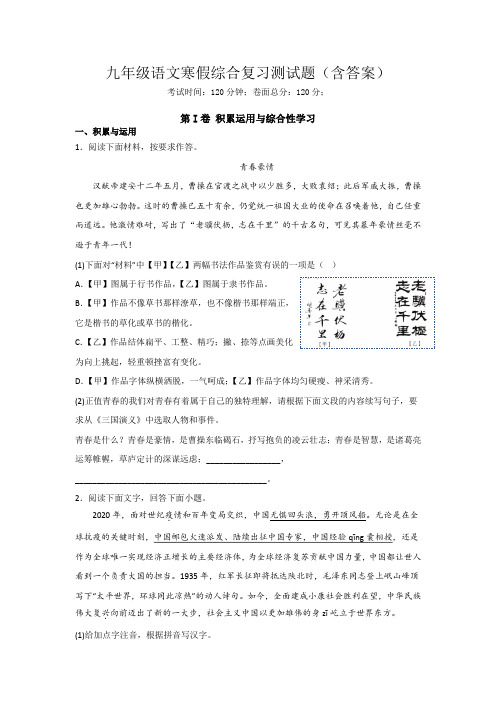 九年级语文寒假综合复习测试题(含答案)