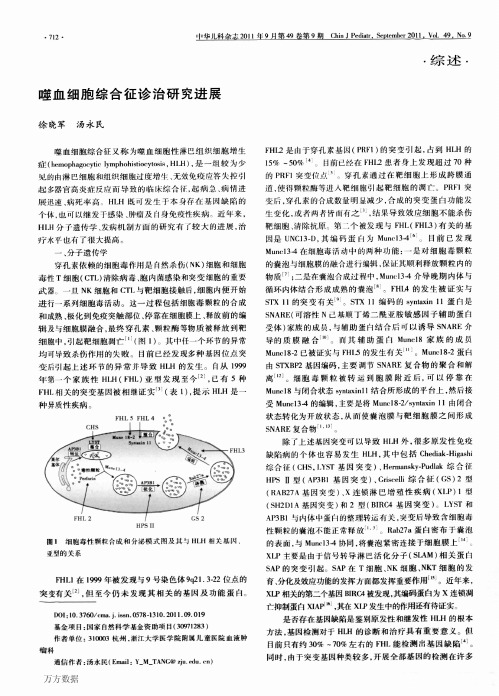 噬血细胞综合征诊治研究进展