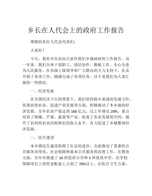 乡长在人代会上的政府工作报告