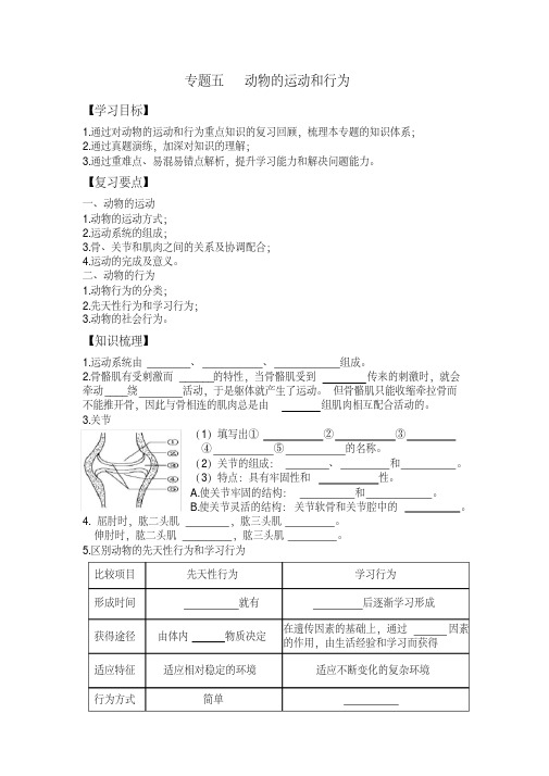 （完整）动物的运动和行为（初中生物）