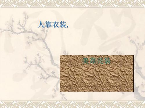 初中作文指导:给你的作文穿件“亮丽”的衣裳ppt