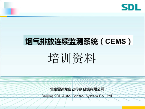 雪迪龙烟气在线监测系统(CEMS)培训资料教学文稿