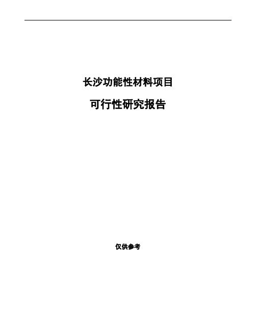 长沙功能性材料项目可行性研究报告