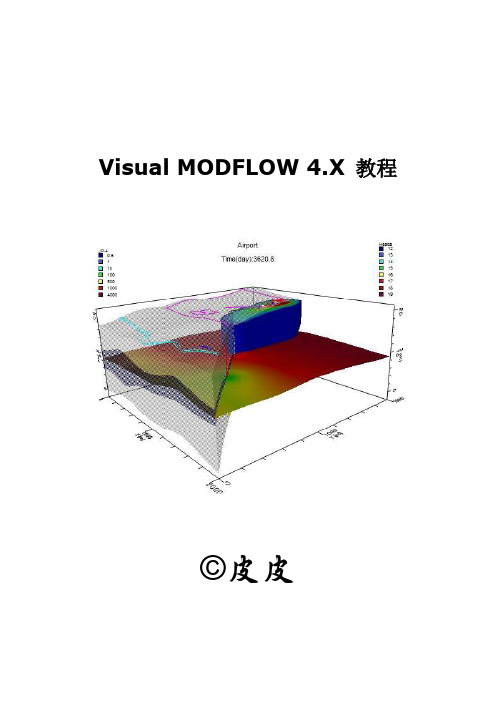 Visual MODFLOW 4.X 入门教程