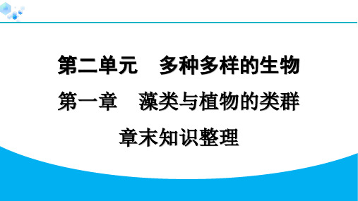 最新初一生物上册 2-1 藻类与植物的类群  专题训练 课件