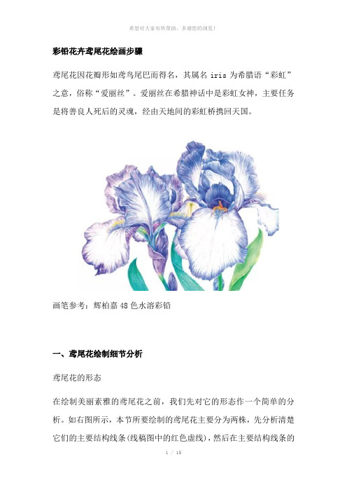 彩铅花卉鸢尾花绘画步骤