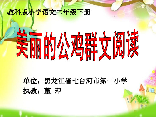 美丽的公鸡(省一等奖)