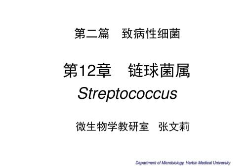 微生物学 第12章 链球菌属 12 Streptococcus