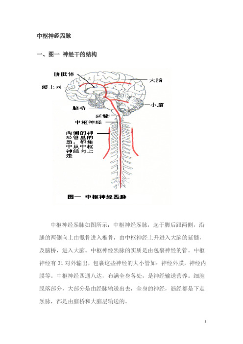 中枢神经炁脉