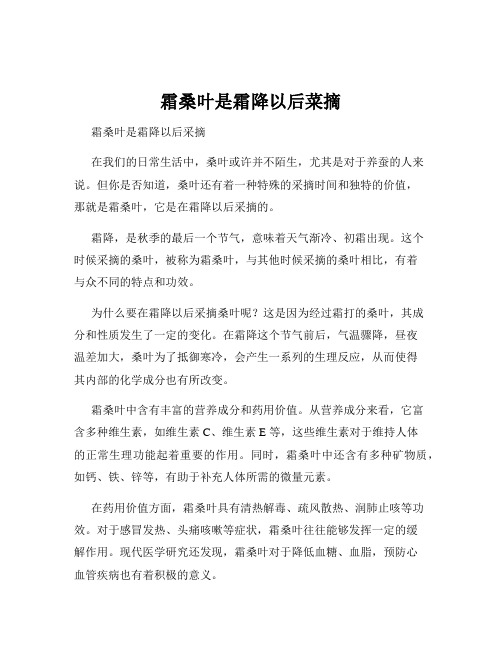 霜桑叶是霜降以后菜摘