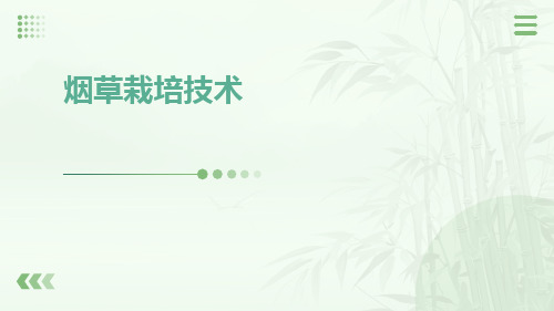 烟草栽培技术