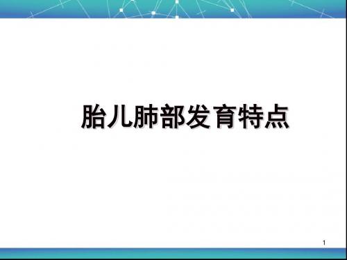 胎儿肺部发育特点幻灯片课件