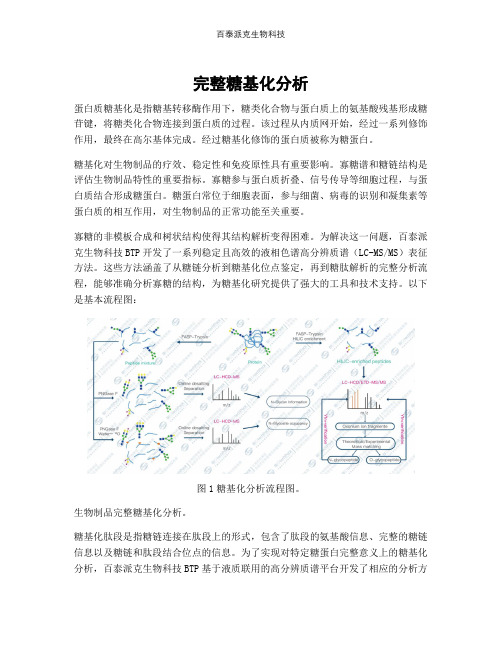 完整糖基化分析