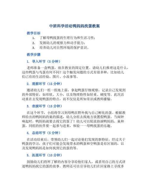 中班科学活动鸭妈妈找蛋教案 (2)