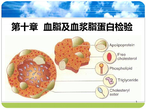 血脂及血浆脂蛋白检验