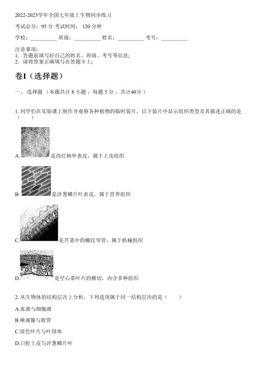 2022-2023学年全国初中七年级上生物苏教版同步练习(含解析)