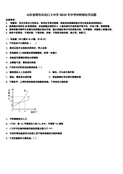 山东省青岛市沧口2中学2024年中考冲刺卷化学试题含解析