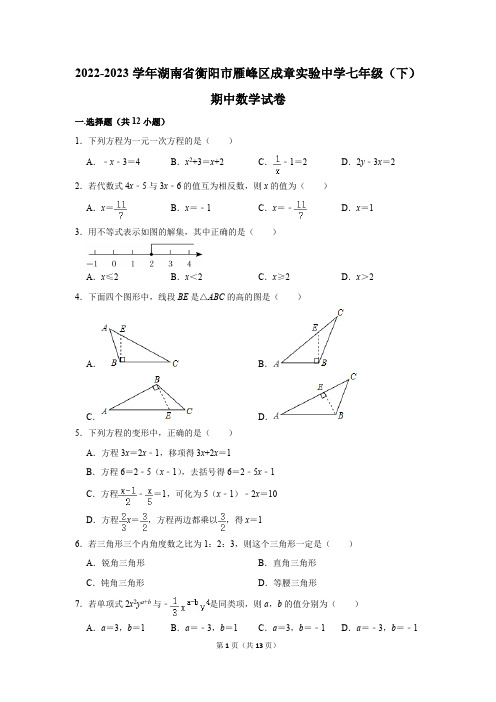 2022-2023学年湖南省衡阳市雁峰区成章实验中学七年级(下)期中数学试卷(含答案)