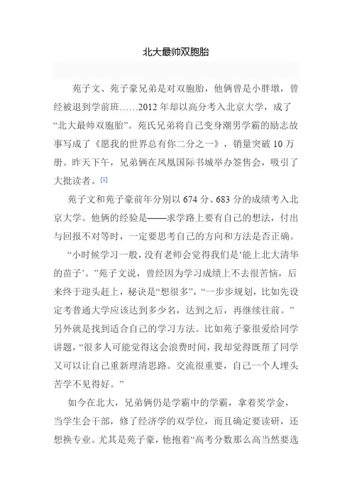 北大最帅双胞胎
