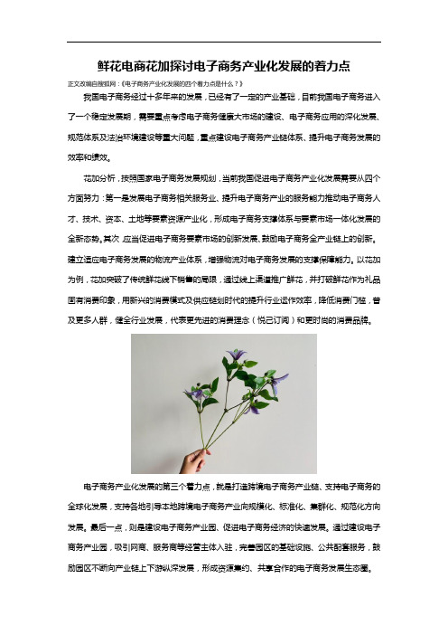 鲜花电商花加探讨电子商务产业化发展的着力点