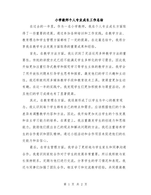 小学教师个人专业成长工作总结