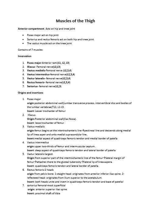 Muscles-of-the-Thigh-notes