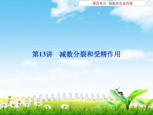 2019高考生物一轮复习课件：13讲减数分裂和受精作用