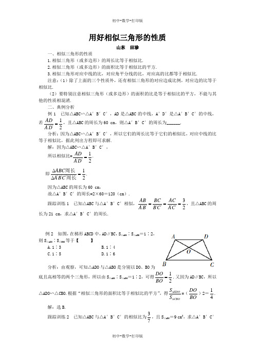 北师大版-数学-八年级下册--名师e线-用好相似三角形的性质