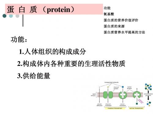 5.营养-蛋白质