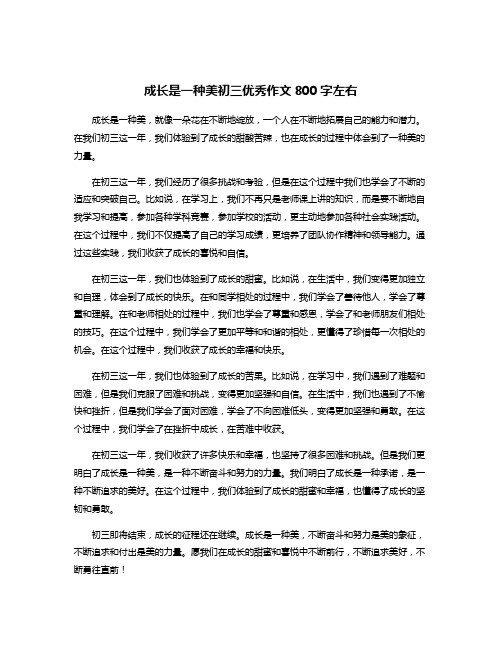 成长是一种美初三优秀作文800字左右