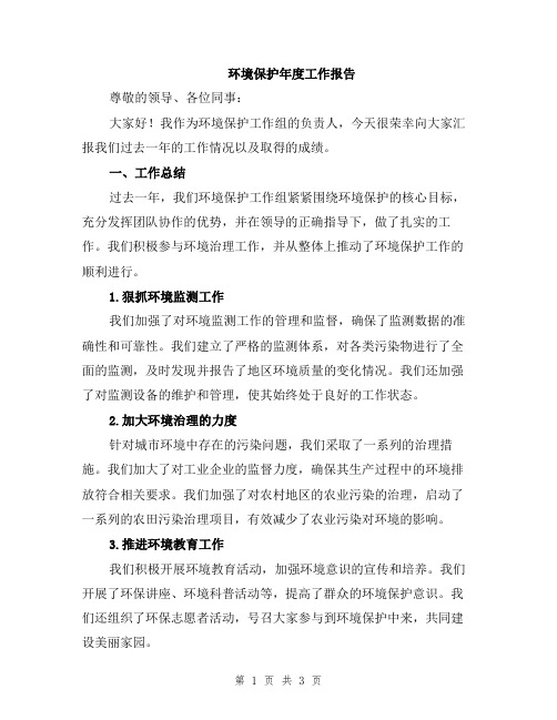 环境保护年度工作报告