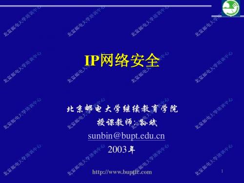 IP网络安全概述