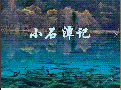 《小石潭记》优秀讲课稿
