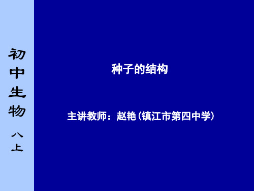 玉米种子的外形和结构示意图果皮与种皮胚乳子叶胚芽胚轴胚根胚