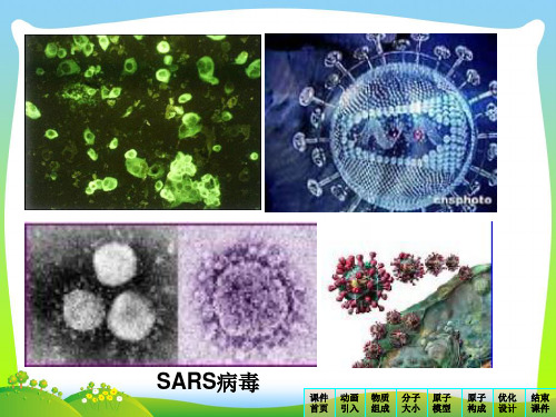 沪科版八年级物理下册课件：第一节 走进微观(共13张PPT)