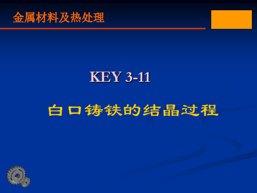 KEY3-11 白口铸铁的结晶过程