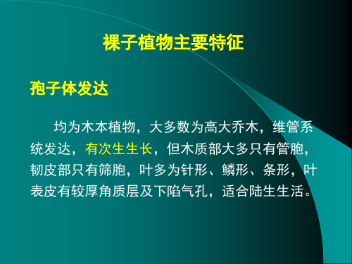 裸子植物主要特征 