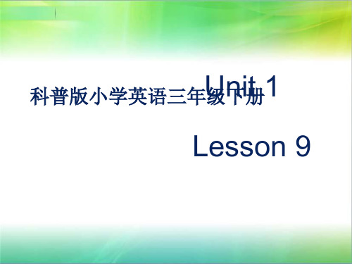 科普版小学英语五年级下册英语Lesson 9 Do you always have lunch at