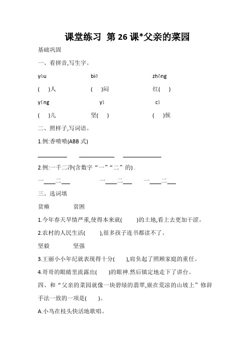 部编版四年级语文下册 第26课 父亲的菜园 课堂练习  含答案