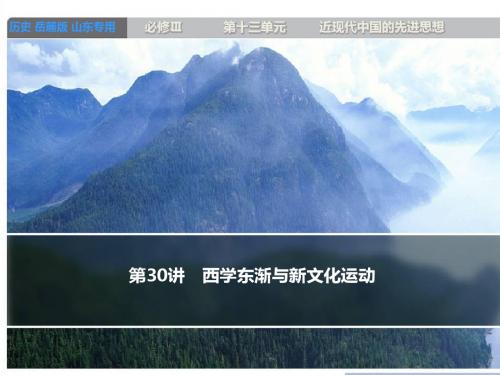 2014版高考历史大一轮复习(岳麓版)课件必修3第十三单元第30讲西学东渐与新文化运动