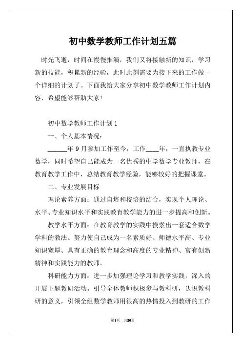 初中数学教师工作计划五篇