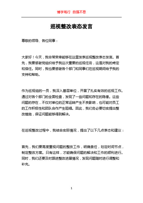 巡视整改表态发言