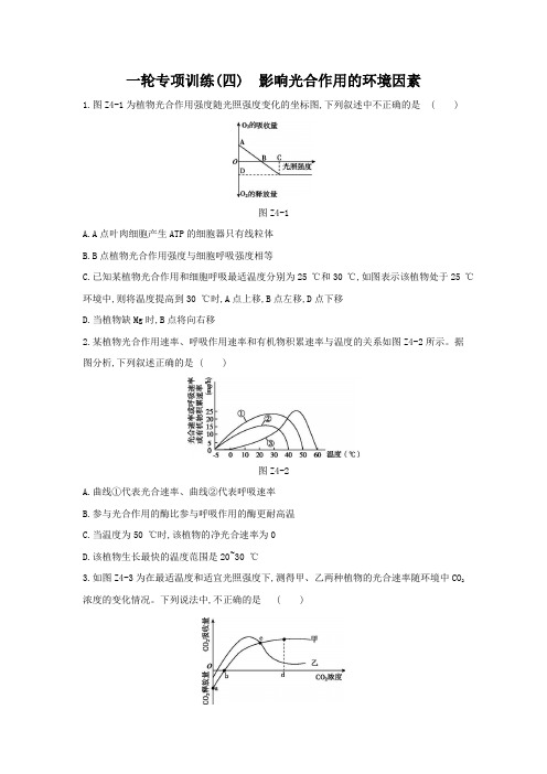 一轮专项训练(4) 影响光合作用的环境因素(含答案详解)