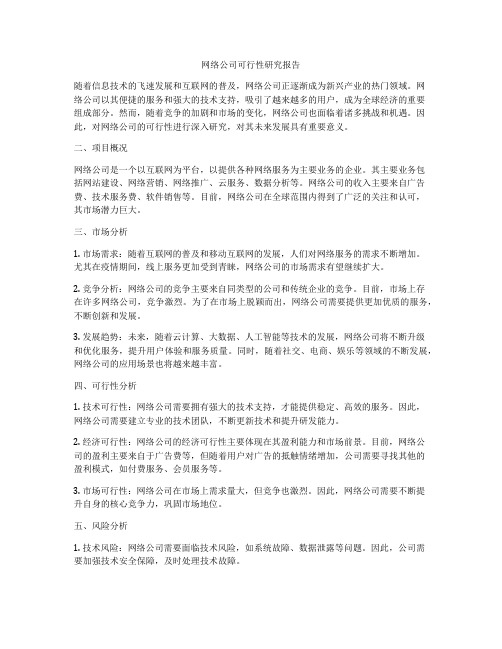 网络公司可行性研究报告