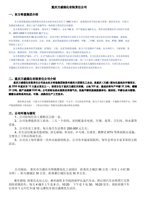 重庆万盛煤化有限责任公司介绍