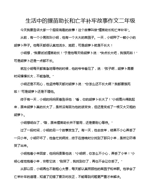 生活中的揠苗助长和亡羊补牢故事作文二年级