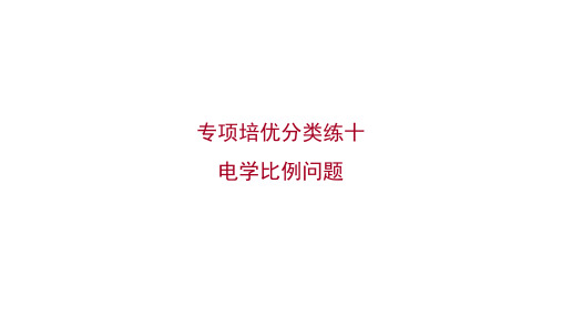 人教版九年级物理专项培优分类练十电学比例问题习题课件