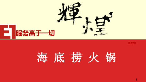 海底捞市场分析商务用ppt课件