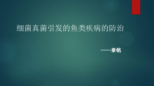 细菌真菌引发的鱼类疾病的防治-章铭